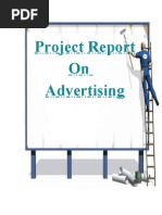 Project Report on Advertising
