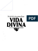 Vida Divina PDF