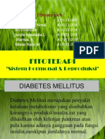 Fitoterapi Diabetes Mellitus