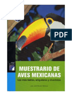 Aves Mexicanas