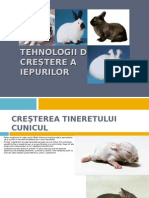 31734188-Prod-Carne-Iepuri.pdf