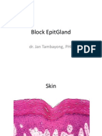 Block EpitGland1
