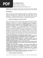 Eboço Bíblico - Pastor Amilton Gomes