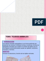 Zoologia Tejidos