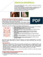 Abdominales PDF