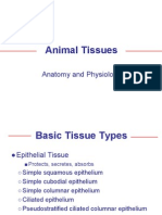 Ap Types of Tissues