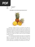 Download Pengeringan Dan Pengolahan Nanas by Ernalia Rosita SN250966034 doc pdf