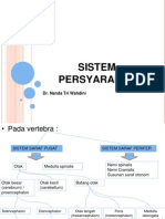 V - Sistem Persyarafan Slide (DR - Nanda)