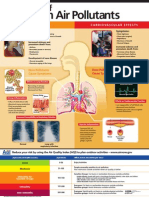 Effects Of: Common Air Pollutants