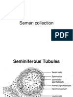 Semen Collection, Evaluation and Processing I