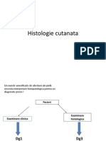 LP 5 Histopatologie