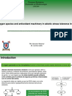 Estres Oxidativo en Plantas