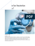 Que Son Las Bacterias Aerobias PDF