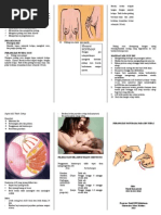 Download Leaflet-Perawatan-Payudara pada ibu nifasdoc by Moh Khairi SN251016643 doc pdf