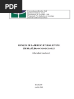 . Espaços de Lazer e Culturas Jovens Em Brasília o Caso de Bares.