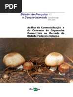 Análise Da Comercialização