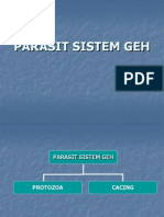 Parasit Sistem GEH Protozoa