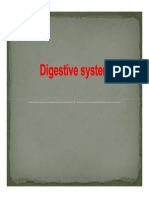Unit 2 - Digestive System