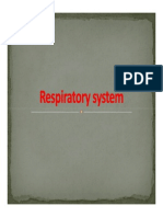 Unit 2 - Respiratory System