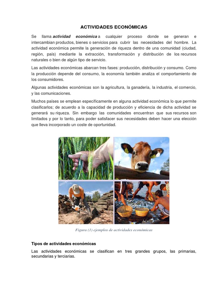 Clasificación de Actividades Económicas | PDF | Caza | Agricultura