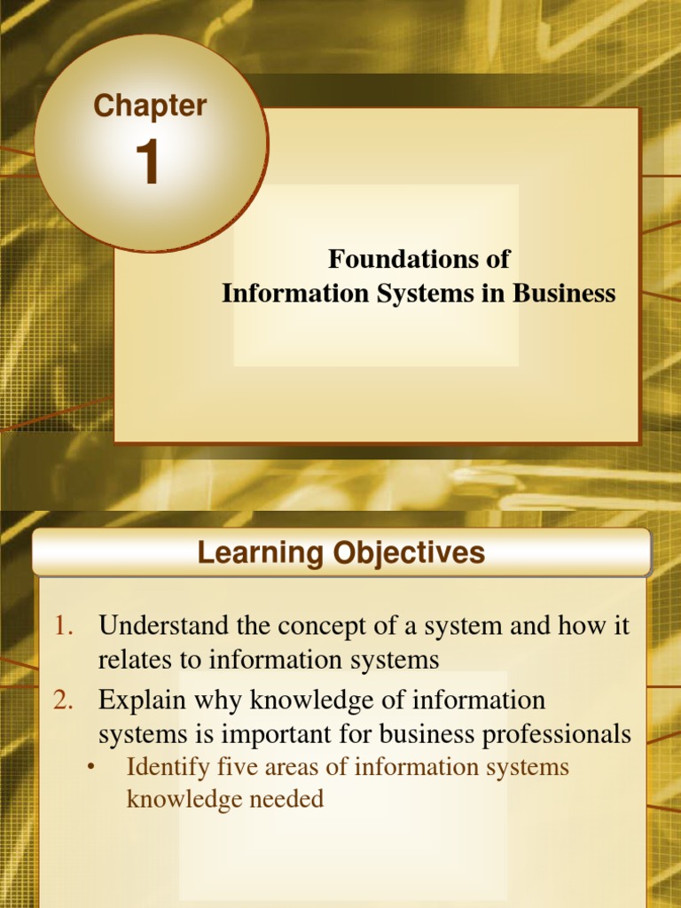 Foundations of Information Systems in Business | PDF | Information ...