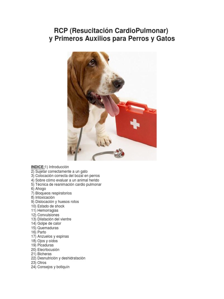 RCP y Primeros Auxilios para Perros y Gatos | PDF | Reanimación  cardiopulmonar | Gatos
