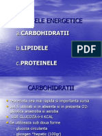 Sursele Energetice