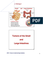 Tumors of The Small Tumors of The Small and and Large Intestines Large Intestines