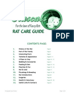 Rat Care Guide