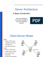 Client - Server Architecture: A Basic Introduction
