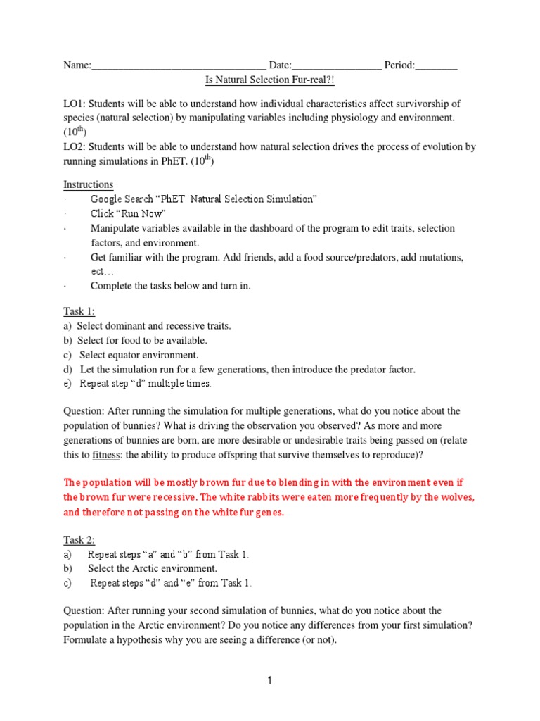 Natural Selection Phet Student Ws Worksheet