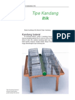 Tipe Kandang Itik