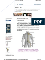 Fisioterapianota10.Blogspot - PT 2010 09 Lombociatalgia - HT