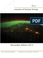 Worldwide Panorama of Nuclear Energy