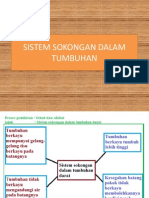 Bab 8 Sistem Sokongan Dalam Tumbuhan