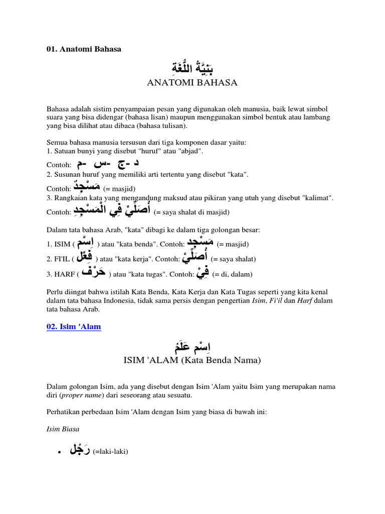 Belajar Anatomi Bahasa Arab Pdf