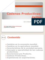 CompetitividadIndustriaNacional03 PDF