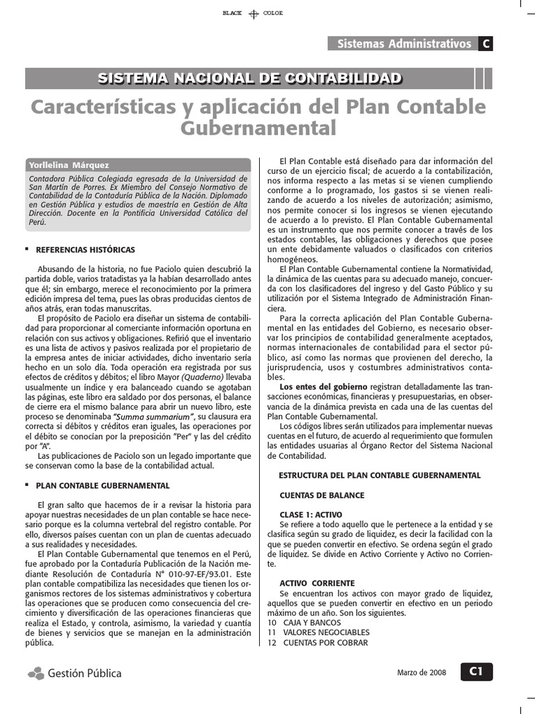 Plan Contable PDF | PDF | Contabilidad | Presupuesto