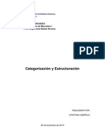 categorizacion y estructuracion