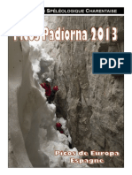 Rapport Picos 2013.pdf