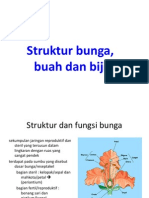 STRUKTUR BUNGA, BUAH DAN BIJINYA