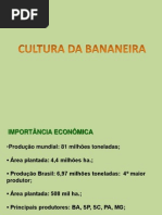 AULA 1 BANANA introd morfologia.ppt