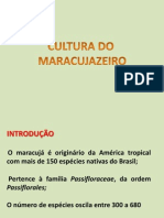 AULA 1 Introdução Maracujá