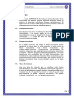 Trabajo Impreso Musculos - Docx4