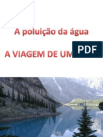 7837067-Poluicao-Da-agua-A-Viagem-Do-Peixe.pdf