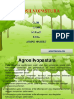 Agrosilvopastura