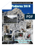 RapportPicos 2010 PDF
