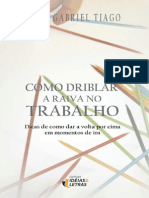 Como Driblar A Raiva No Trabalh - Luiz Gabriel Tiago