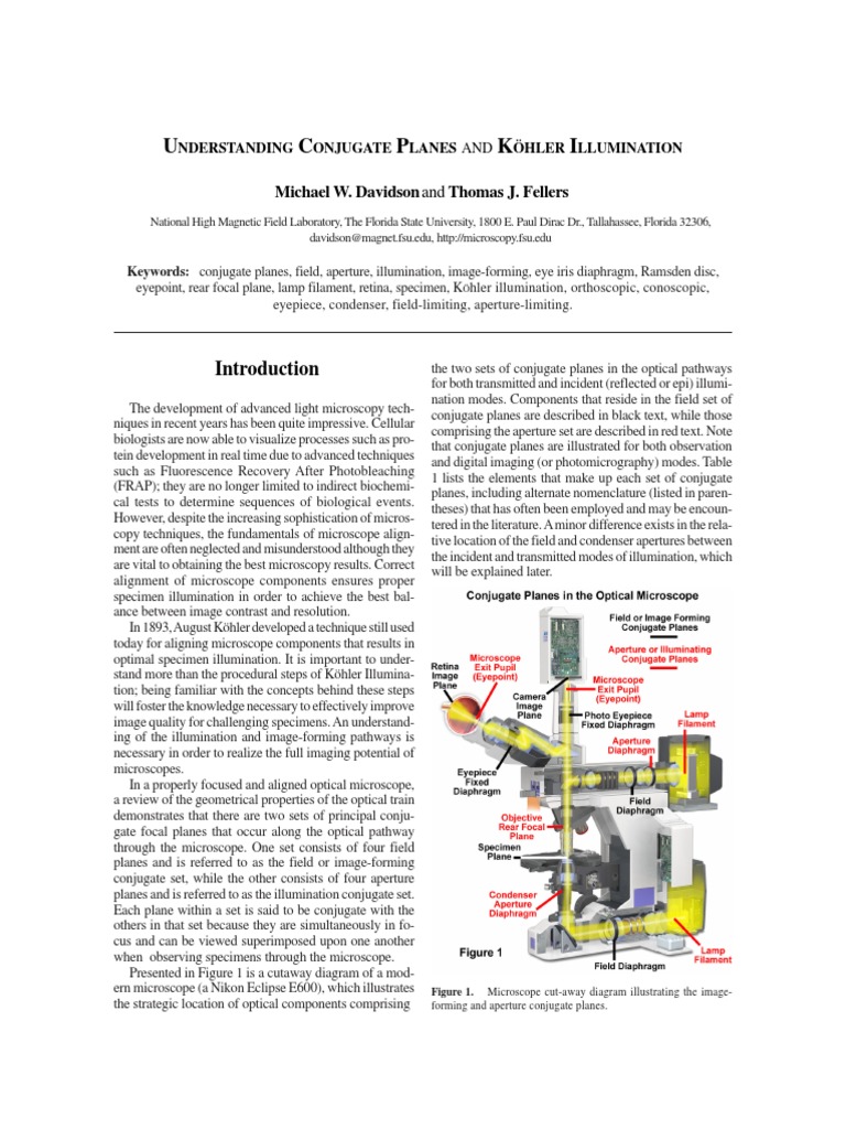 Kohler Illumination Microscopy Aperture