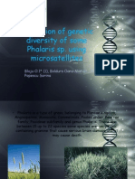 Evaluation of Genetic Diversity of Some Phalaris SP